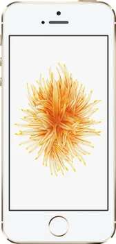 iPhone SE (1st generation)