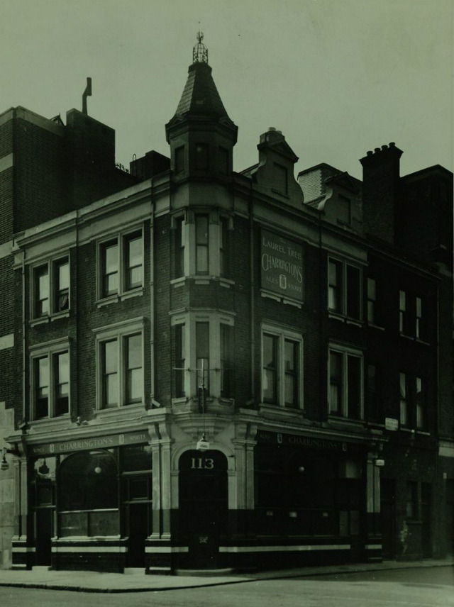 Laurel Tree, Camden