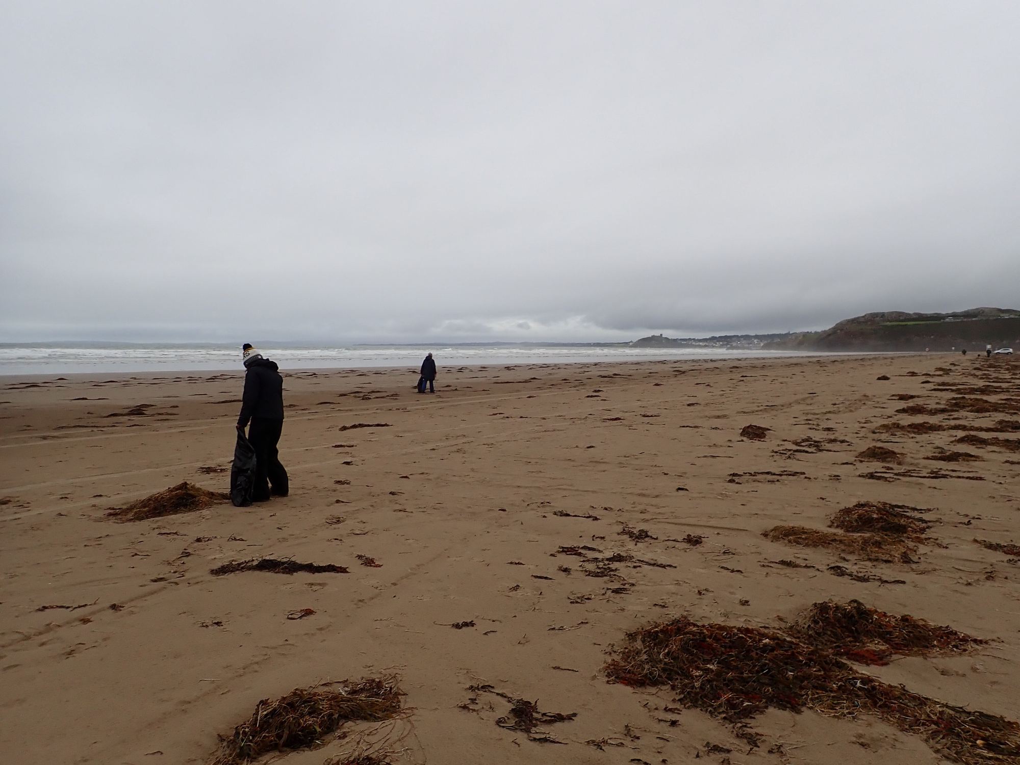 Two people with litter-picking bags on a wide, wet sandy beach under a grey sky