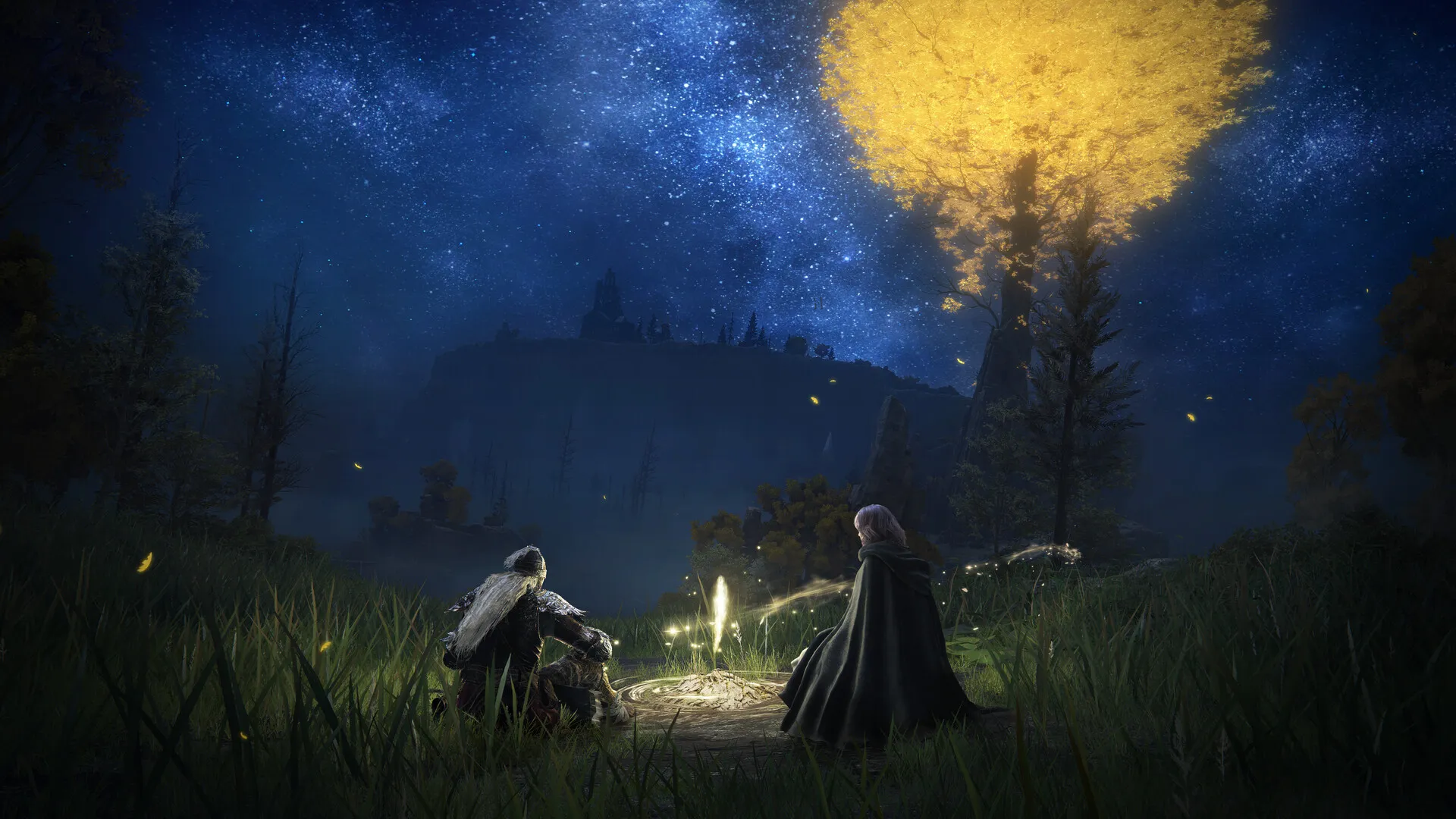 Two players in Elden Ring standing at night beside a small light in a field, the golden Erdtree glowing on the horizon