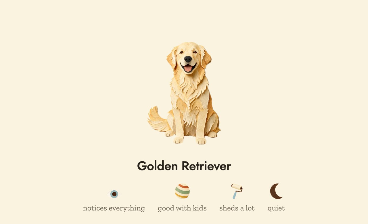 A golden retriever and its badges