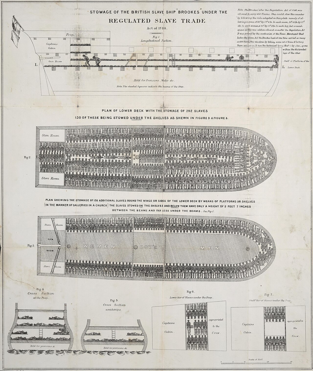 Cross-section diagram of the slave ship Brookes showing how 454 enslaved people were packed into the hold