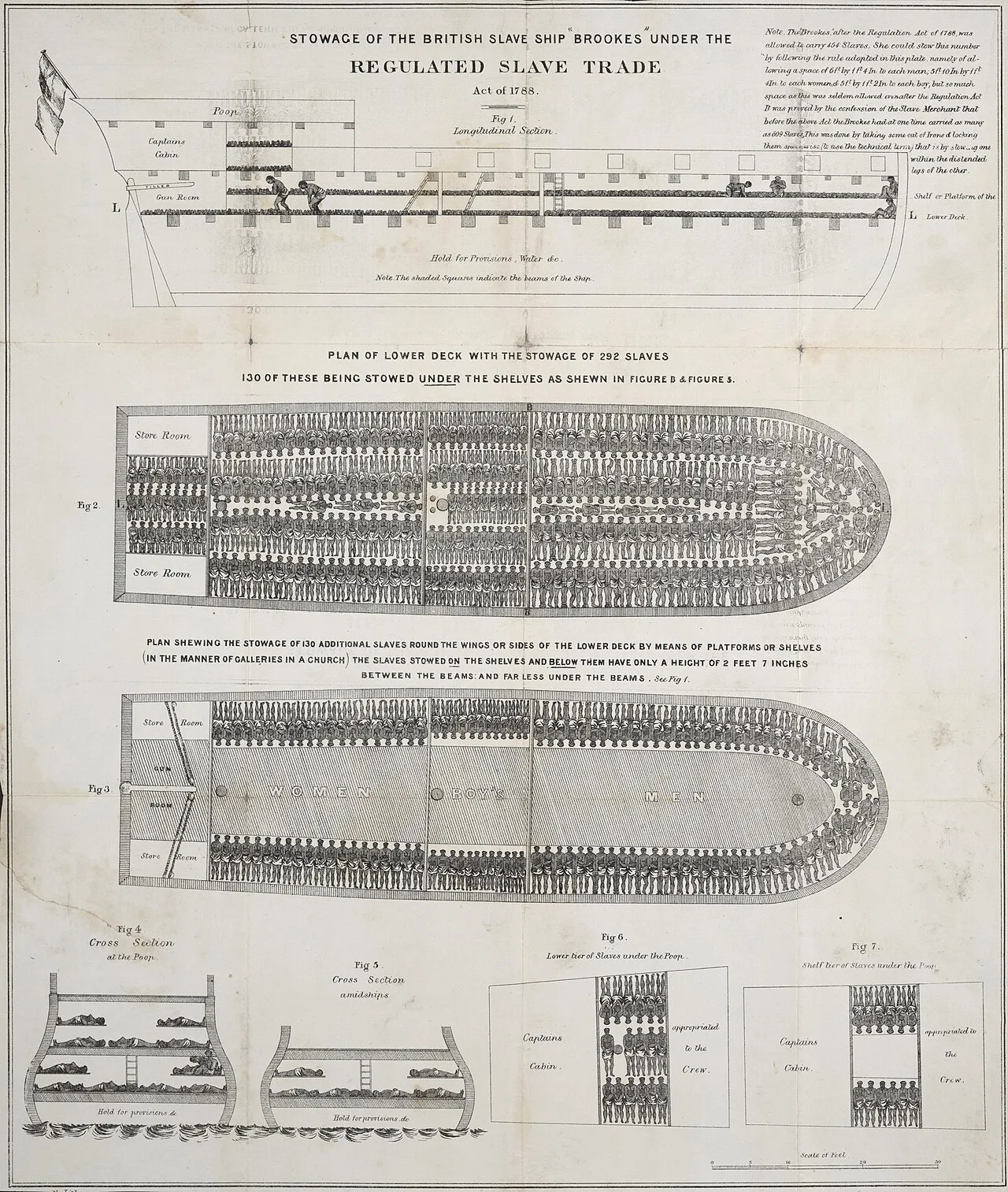 Cross-section diagram of the slave ship Brookes showing how 454 enslaved people were packed into the hold