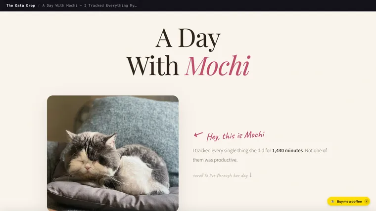 A Day With Mochi