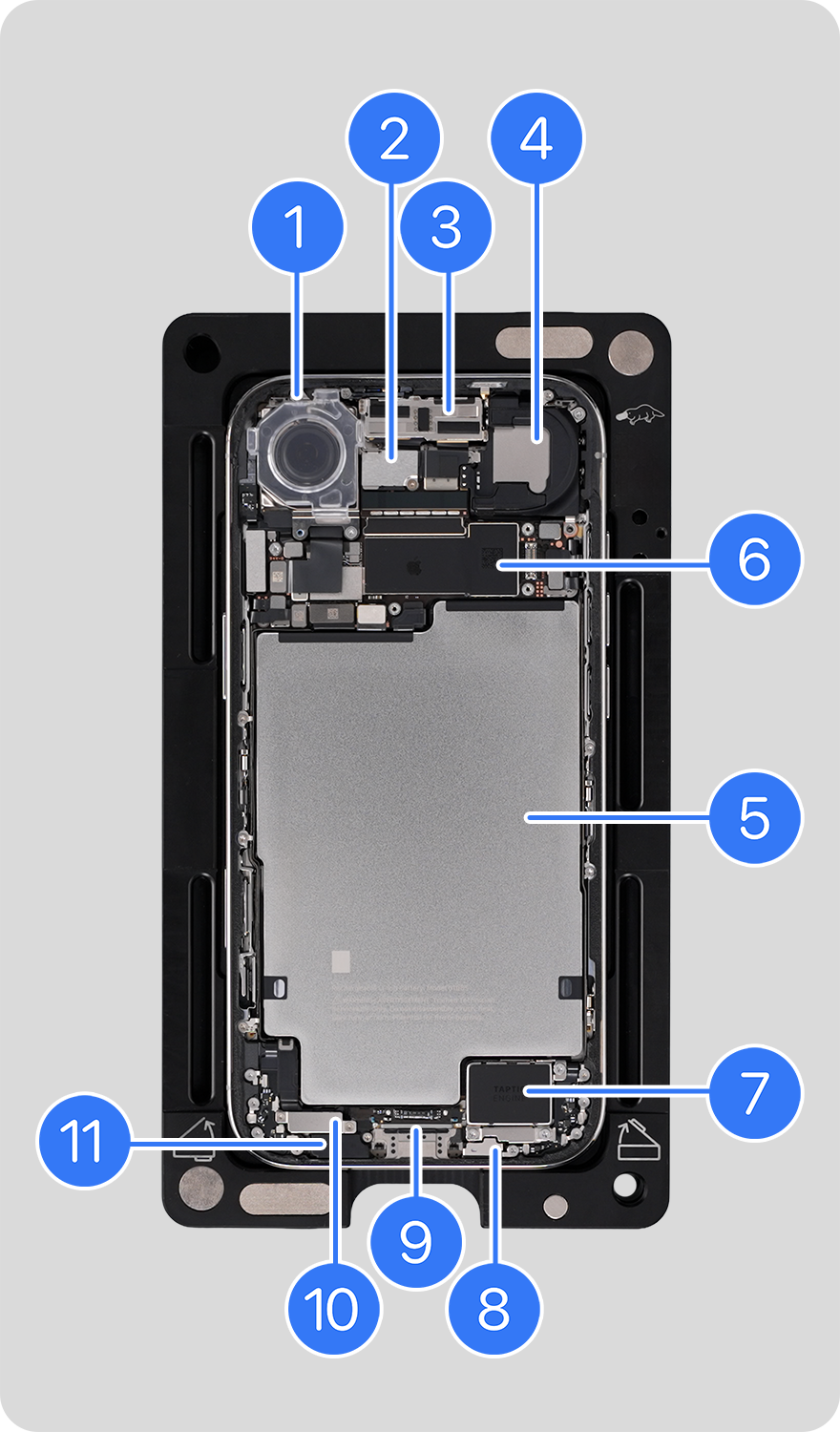 Inside Every iPhone | sheets.works