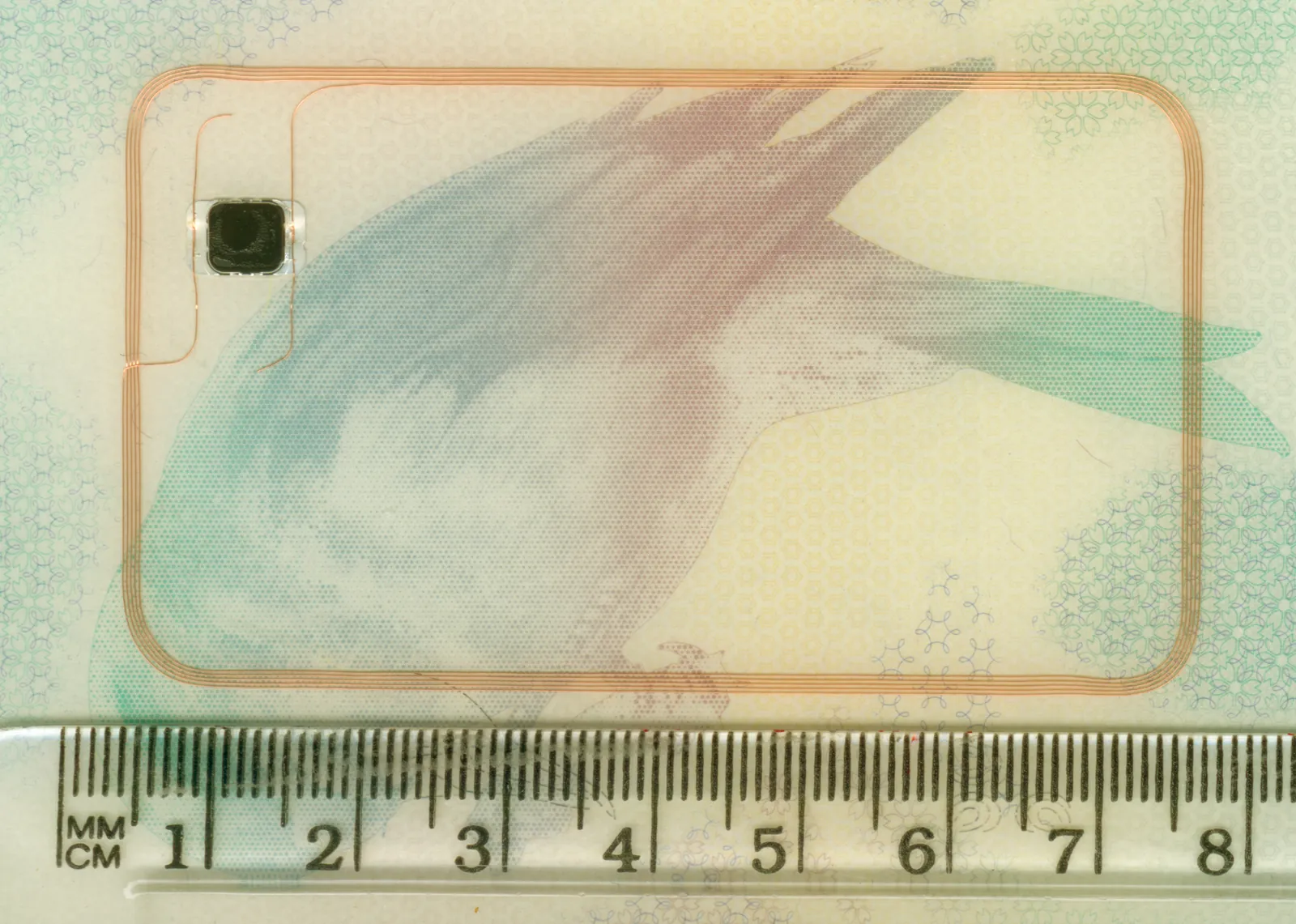 A biometric chip and antenna from a passport