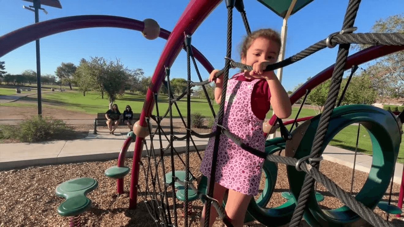 Alice in a pink leopard-print dress standing on a rope climbing frame in a park, green grass and trees behind.