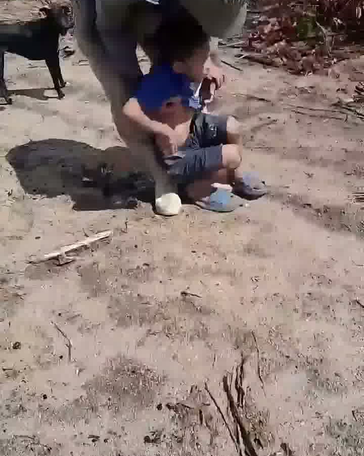 A rescuer in a grey shirt and cap crouches to lift a small boy in a blue shirt off the sandy ground in a cleared hillside, while a black dog stands watching a few metres away at the edge of the frame