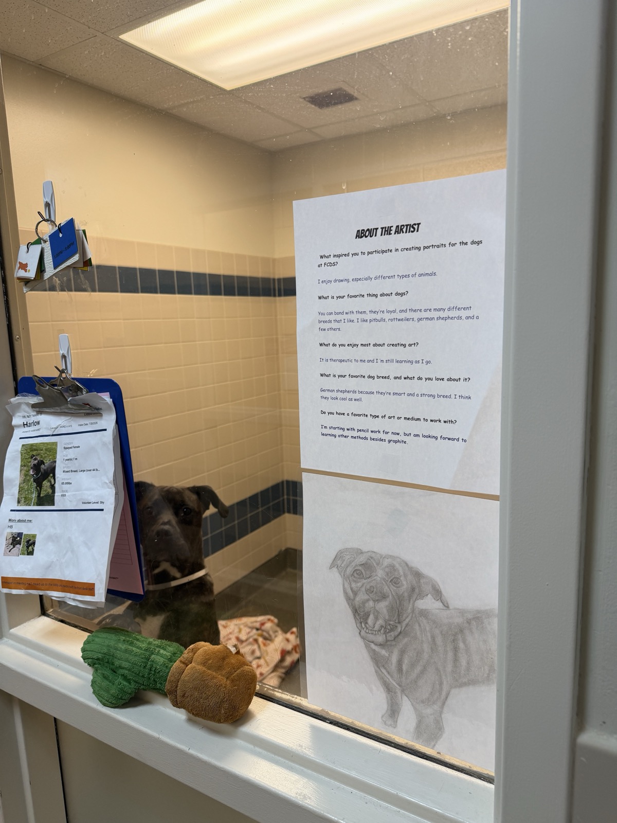 Harlow, a dark brindle dog, looks out through a kennel window. On the left hangs her shelter card; on the right are an About the Artist sheet and a pencil drawing of a dog.