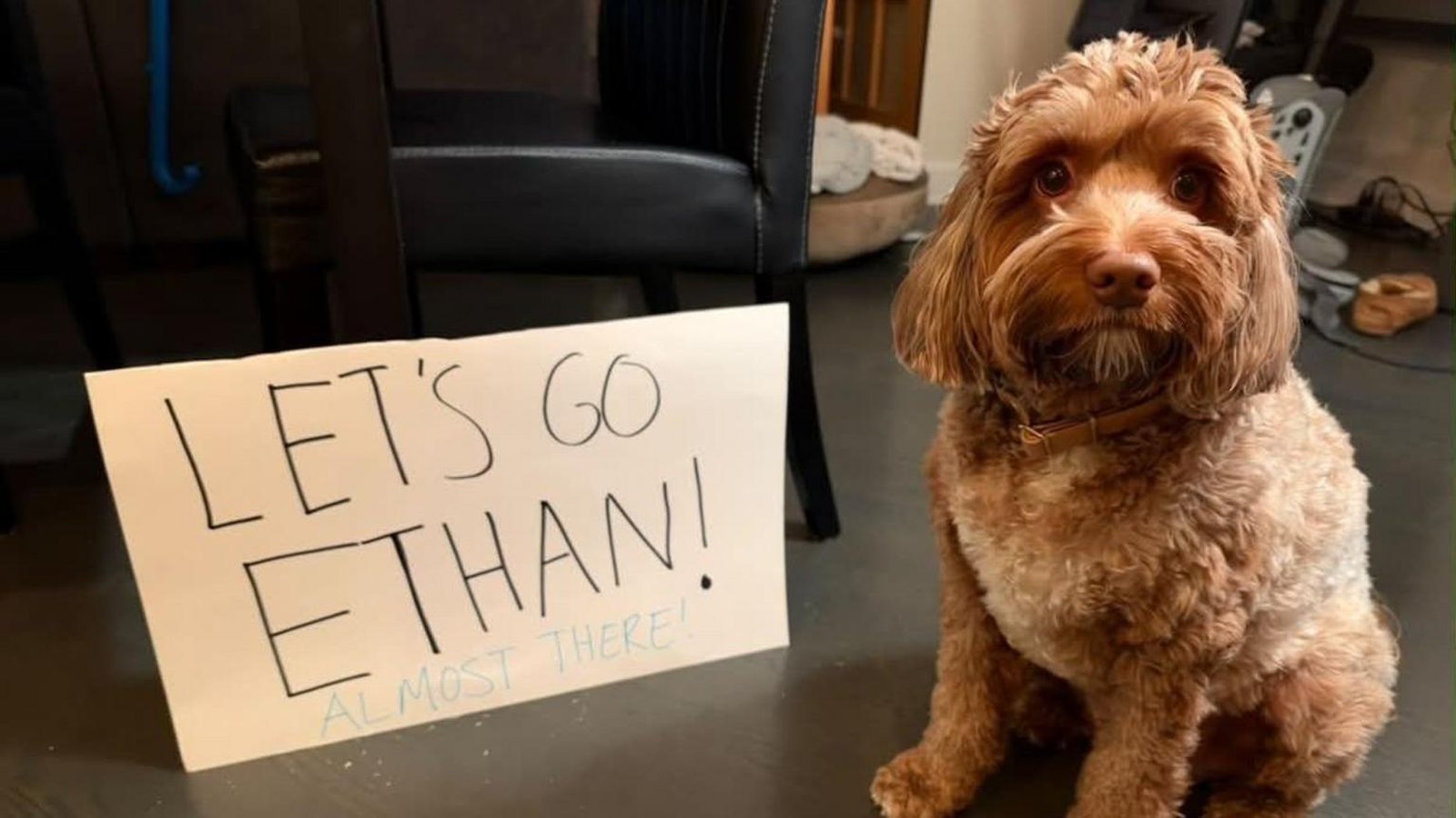 A curly-haired tan dog sitting on a dark floor next to a handwritten cardboard sign reading LET'S GO ETHAN! ALMOST THERE!