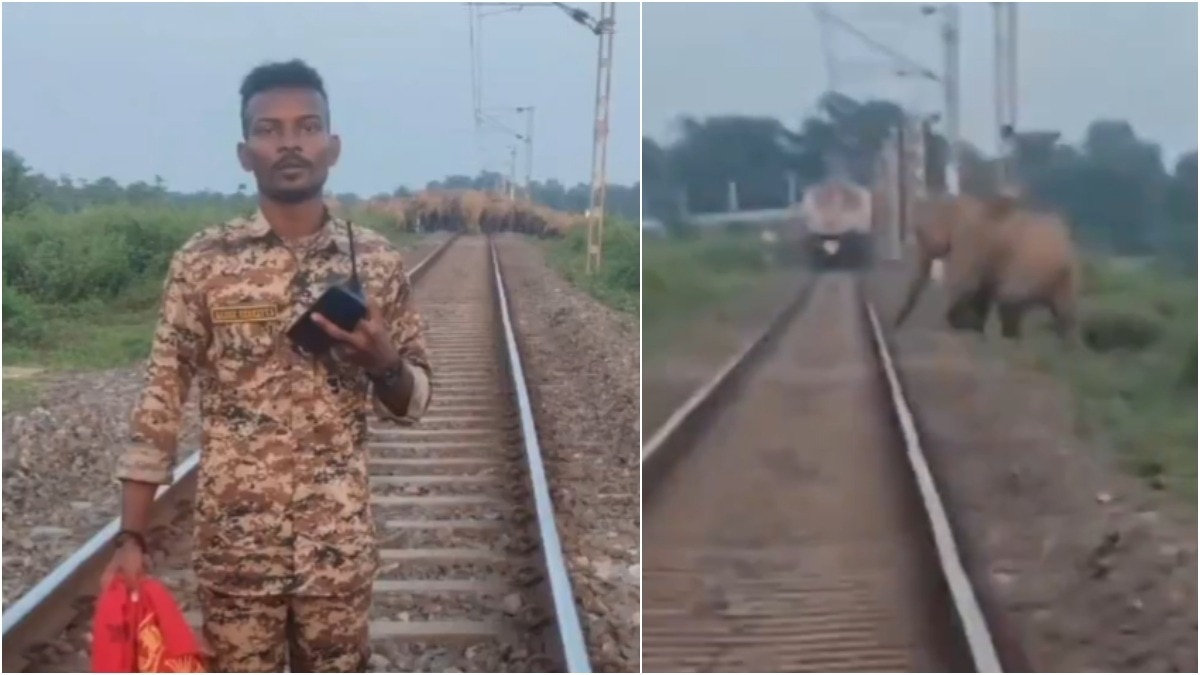 Left: a forest guard in camouflage uniform stands on a railway line holding a red cloth, with a herd of elephants on the tracks behind him. Right: a train approaches along the line as an elephant crosses in front of it.