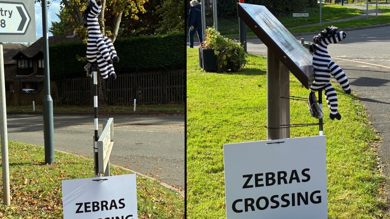 Knitted black and white zebras hang above two signs that read Zebras crossing.