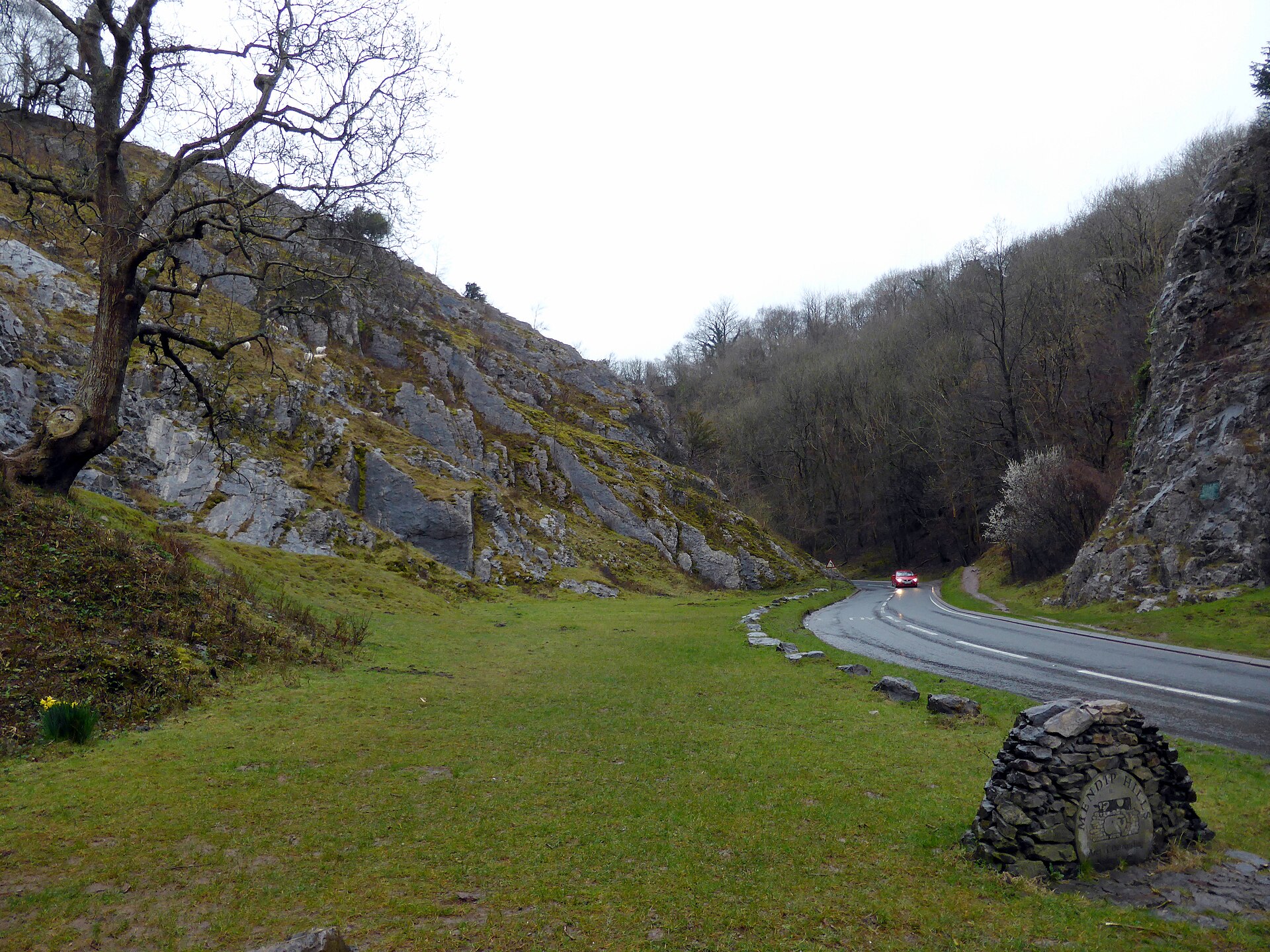 Burrington Combe in early spring, limestone outcrops on both sides of a road curving through, bare trees, and a drystone marker for the Mendip Hills in the foreground