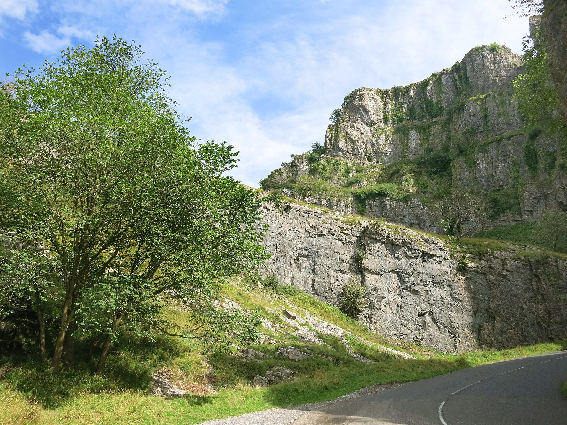 Grey limestone cliffs rising in terraces above a curving road at Cheddar Gorge, with small trees and shrubs growing out of ledges part way up the rock face