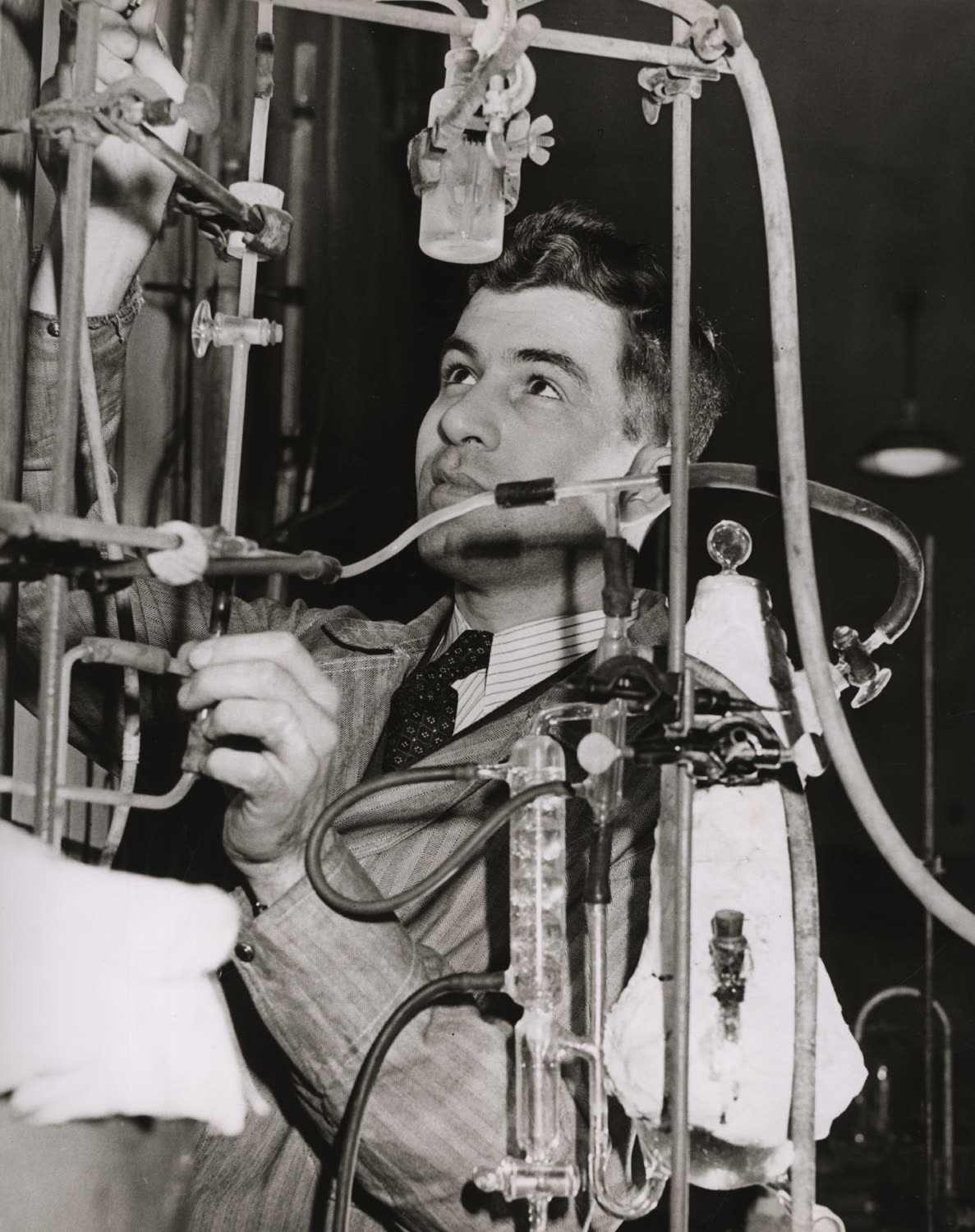 A young man in a striped suit and patterned tie looks up while adjusting a tangle of glass tubes, clamps and rubber hose on a laboratory bench