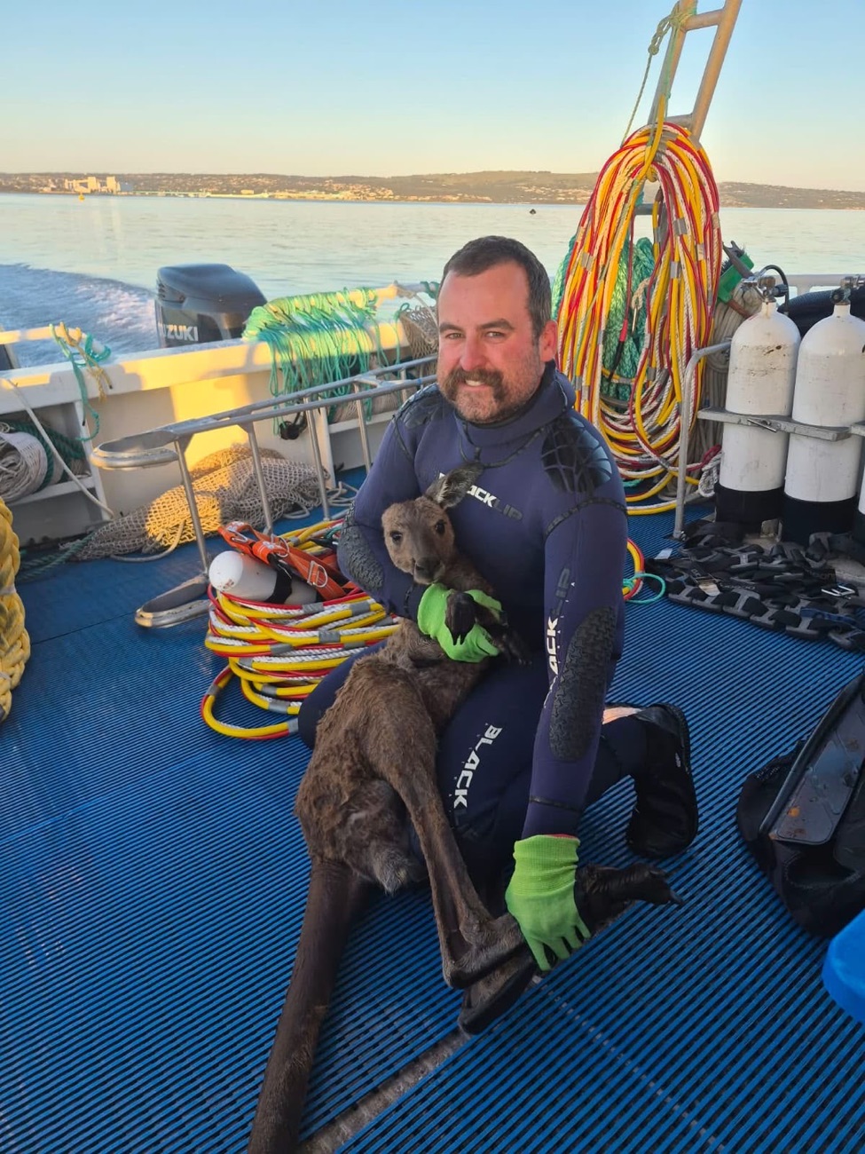 A smiling man in a black wetsuit and green gloves sits on the deck of a boat holding a wet grey kangaroo in his lap.
