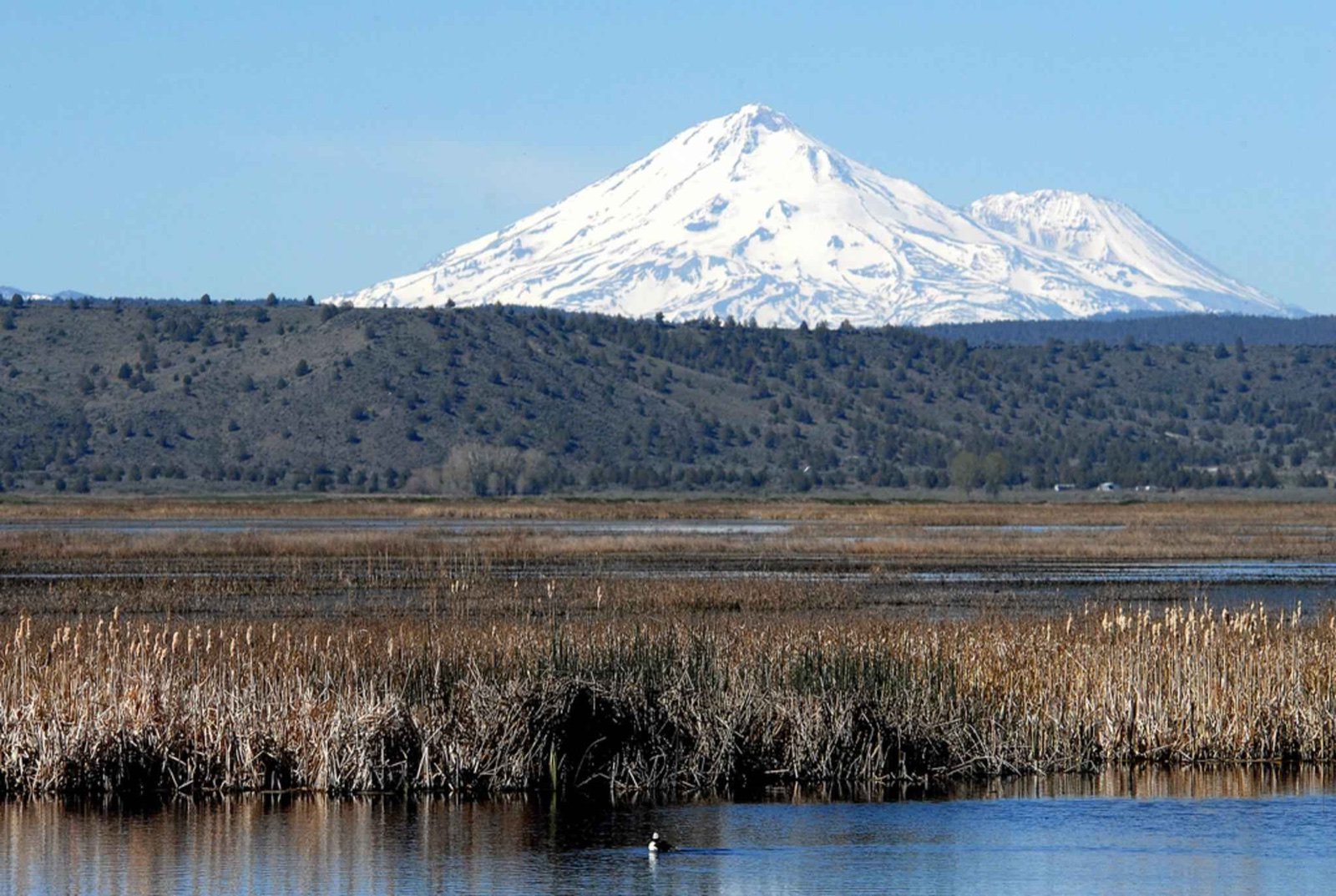 Open marsh water and reeds under a wide sky in the Klamath Basin, Oregon